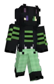 Skin preview