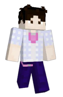 Front of Flynzlol's skin