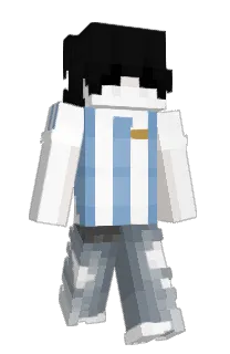 Front of swkv's skin