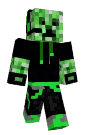 Skin preview