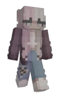 Front of spirxl's skin