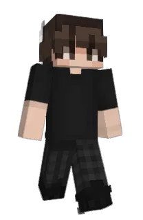 Front of I0NY's skin