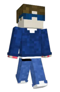 Front of foinks's skin