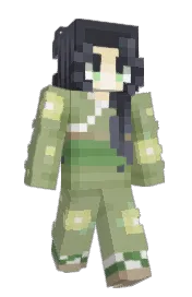 Skin preview