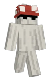Raisonss's Minecraft skin