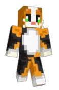 CombatCat