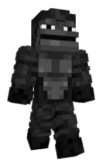 Front of Stxnky's skin