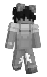 dusty gray and gray Minecraft skin — Slim model — first worn by saltymp4