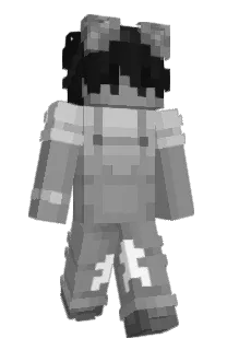 Front of saltymp4's skin