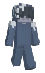 Back of Minecraft skin
