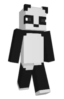 Front of _sw's skin
