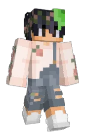 Skin preview