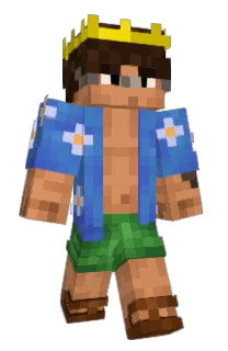 Front of Minecraft skin