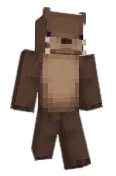 Tennshhi