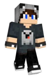 dfRogers Minecraft avatar full body