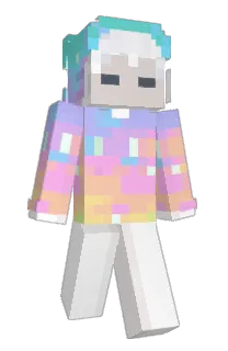 Front of pingplus's skin