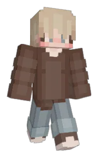 Front of shroxm's skin