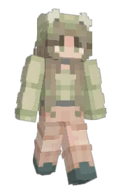 Skin preview