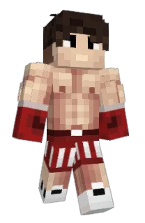 Front of FeloHan's skin