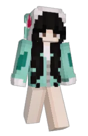 Skin preview