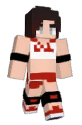 BrickmanVsMC