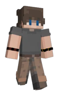 Front of NinjaAvengerRLM's skin