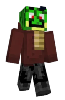 Front of zionise's skin