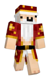 Front of qbeekr's skin