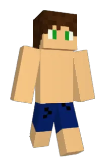 dfergswims Minecraft avatar full body