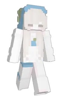 Front of llsr's skin