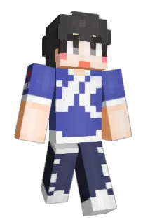 dfg510 Minecraft avatar full body