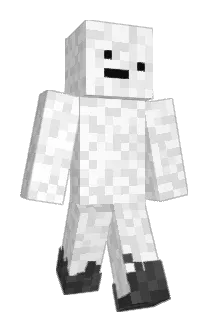 dfs17 Minecraft avatar full body