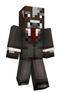 dfy6620 Minecraft avatar full body