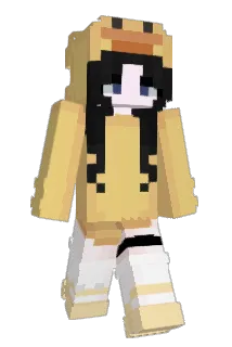 dgdgdgdgdg Minecraft avatar full body