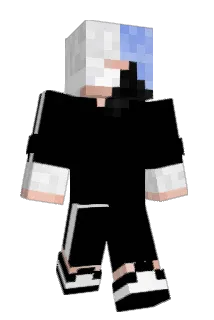 dgxzz Minecraft avatar full body