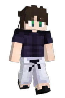 dh033 Minecraft avatar full body
