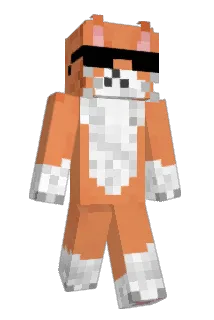 dhcraft_196 Minecraft avatar full body