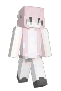 dht25 Minecraft avatar full body
