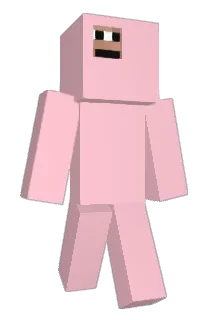 di0rr Minecraft avatar full body