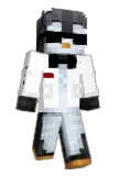 diNsTaR Minecraft avatar full body