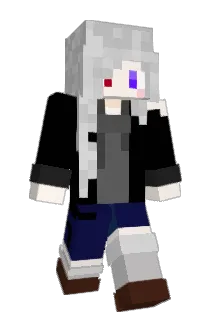 dia2036 Minecraft avatar full body