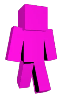 diamniotic Minecraft avatar full body