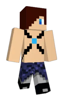 diamond_line Minecraft avatar full body