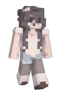 diaryplug Minecraft avatar full body