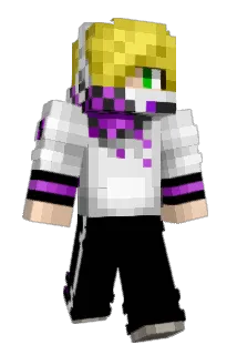 dictionarybug Minecraft avatar full body