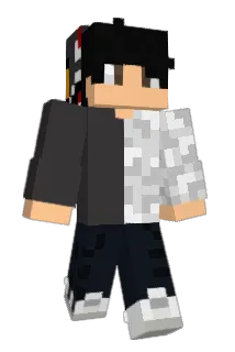 dictionry Minecraft avatar full body