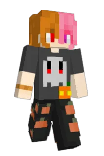 did_d Minecraft avatar full body