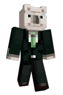 didansgurs Minecraft avatar full body