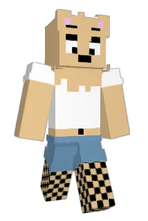 diddybagel Minecraft avatar full body