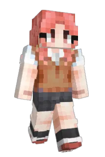 diddynga67 Minecraft avatar full body